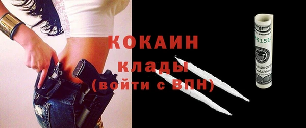 бошки Новодвинск