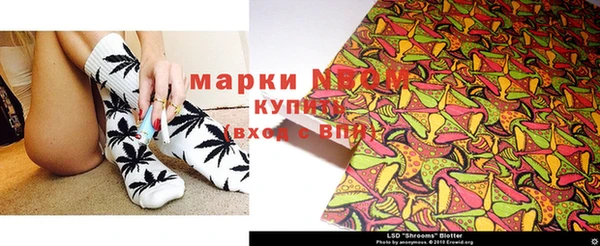 МДПВ Нея