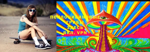 МДПВ Нея
