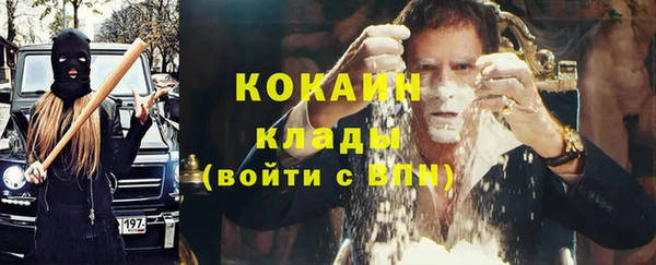 МДПВ Нея
