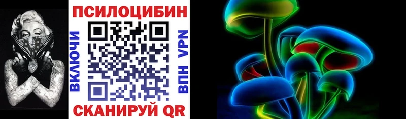 Псилоцибиновые грибы Cubensis  omg   Лукоянов  где можно купить  